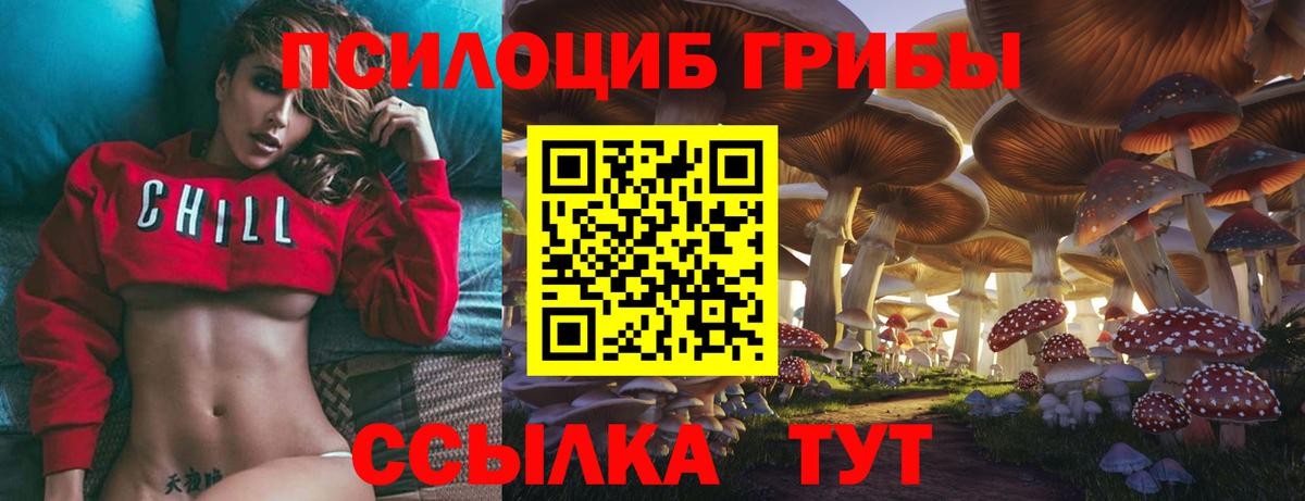 Псилоцибиновые грибы Cubensis Томск