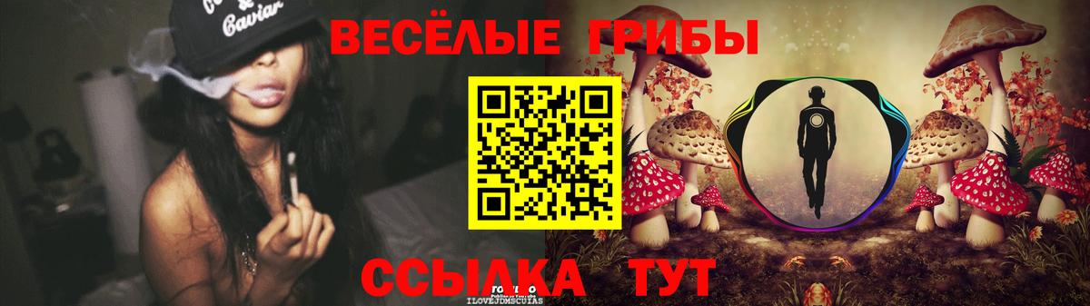 Галлюциногенные грибы Psilocybe  Галлюциногенные грибы GOLDEN TEACHER  Вход с VPN  Томск 
